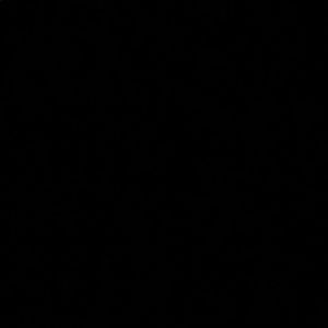 Meet your Posher, Raha